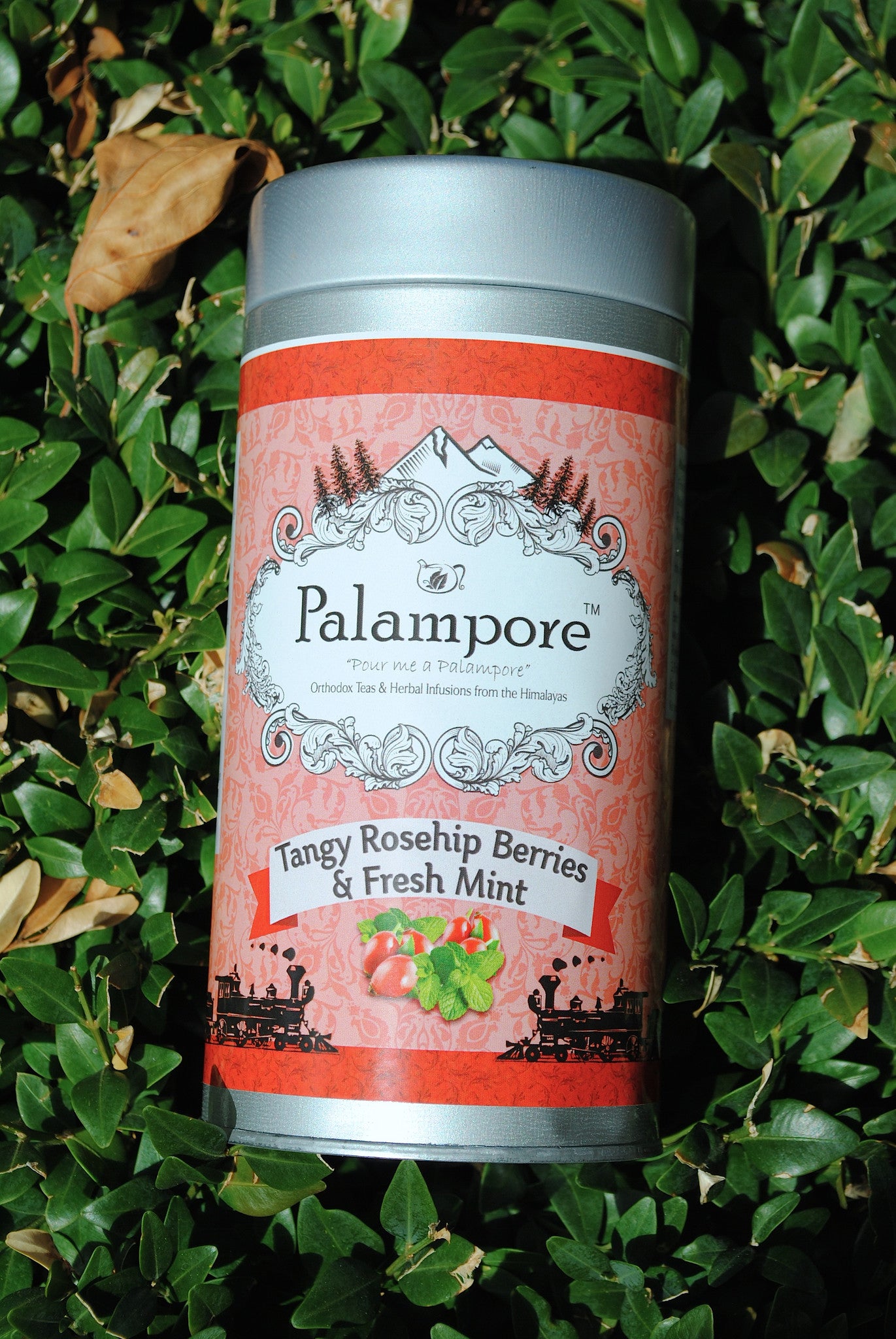 PALAMPORE- Tangy Rosehip Berries & Fresh Mint Infusion