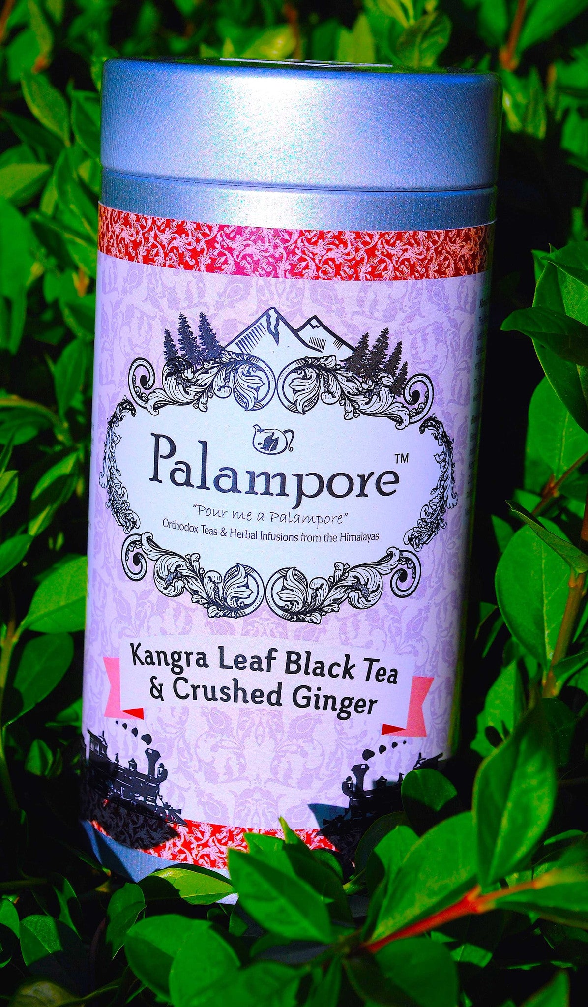 Ginger Tea, Himalayan Whole leaf tea. Black Tea