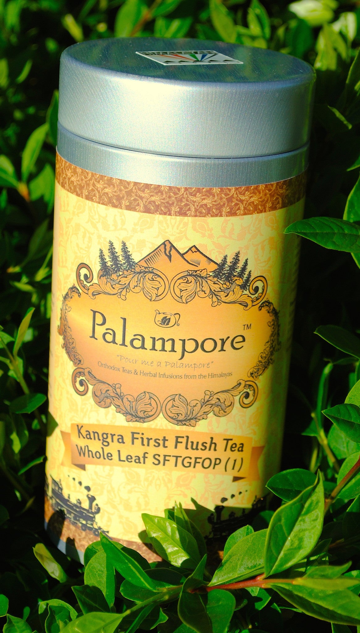 PALAMPORE- Kangra First Flush Whole Leaf Tippy Golden Flowery Orange Pekoe